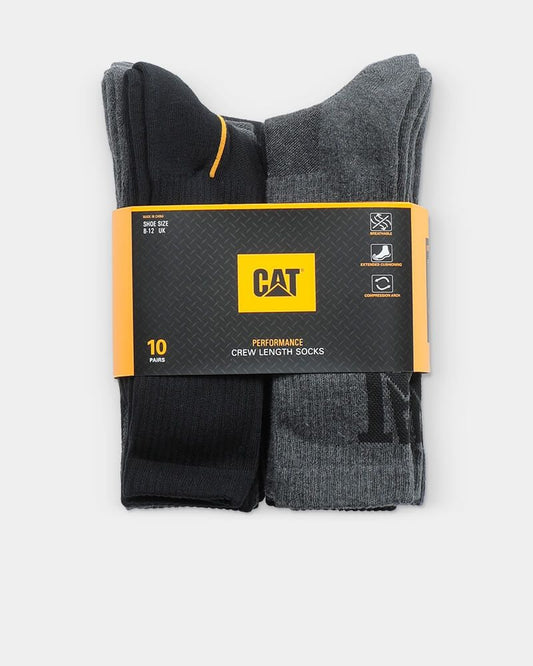 1110002-cat.jpg