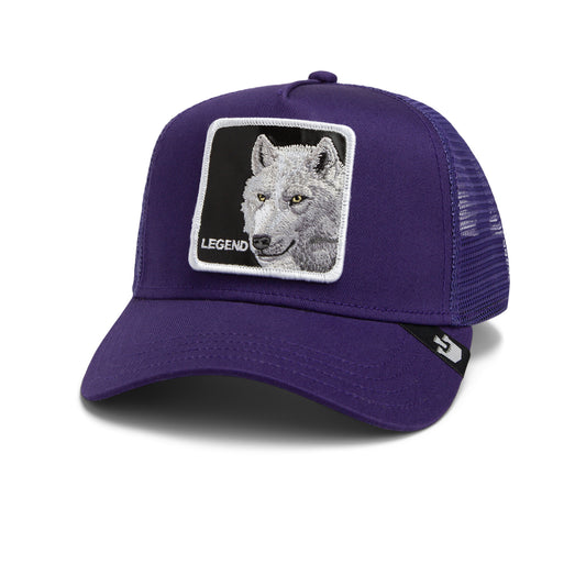 101-2476-PUR-Purple-874112.jpg