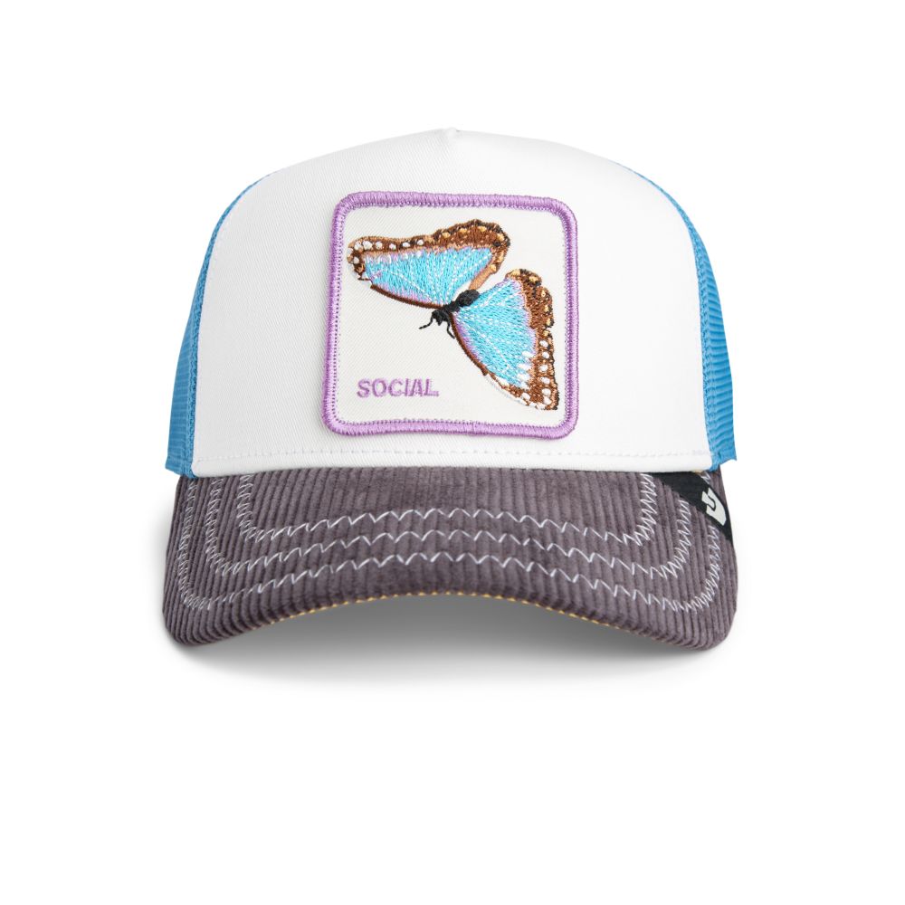 101-2597-MULTI-MULTI-COLOR-1037030.jpg