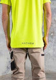 Anthem-T0122-Yellow.jpg