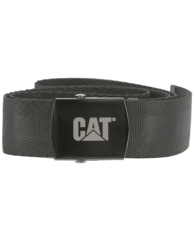 CAT-3100001.jpg