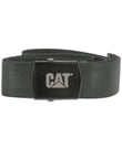 CAT-3100001.jpg