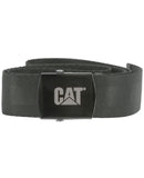 CAT-3100001.jpg