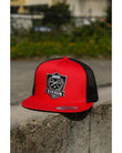 DIXXON-SHIELD-RED-02.jpg