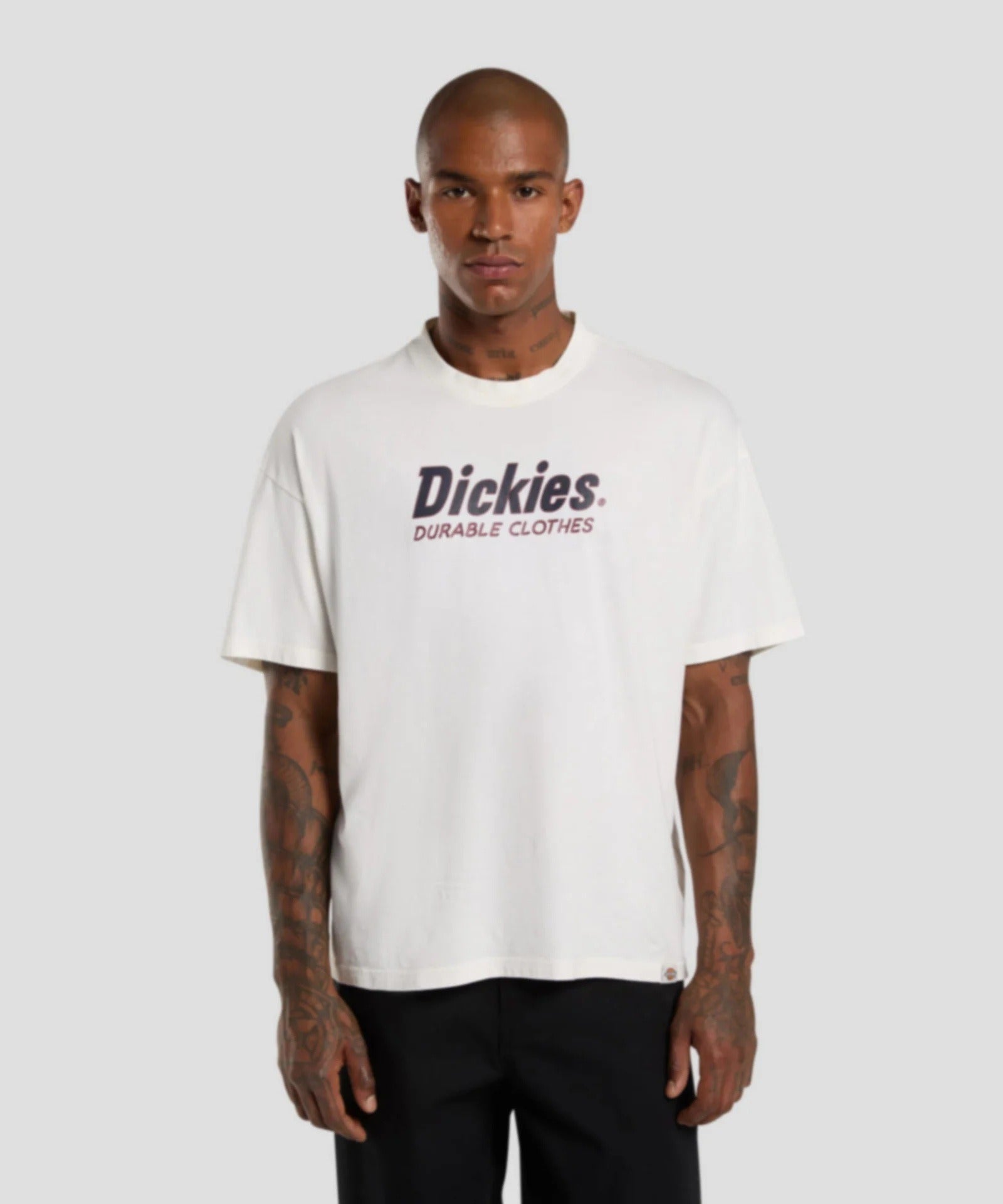 Dickies-Industrial-Zone-Tee-SS-Move-On-Mens-Tee-SS-egret-1.jpg