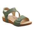Fogg-Olive.jpg